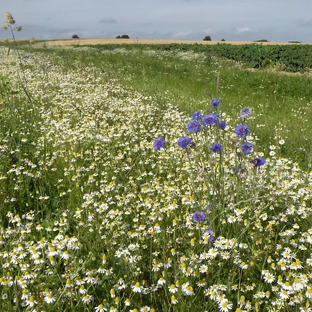 Elegant Castle Stay, Havelange Σπίτι διακοπών Barvaux-Condroz